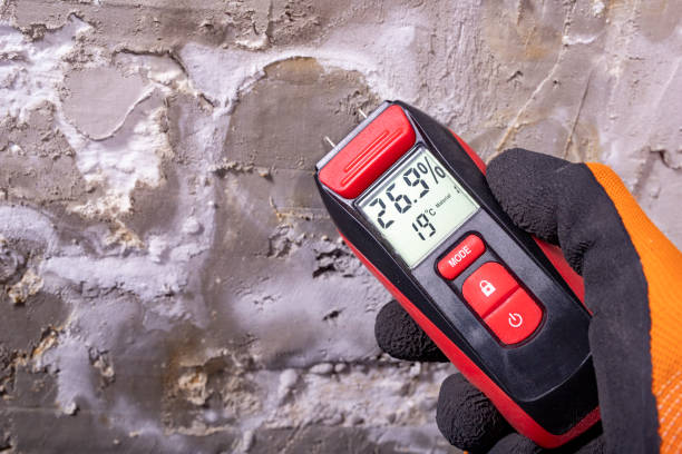 Best Mold Remediation  in Elmwood Park, NJ